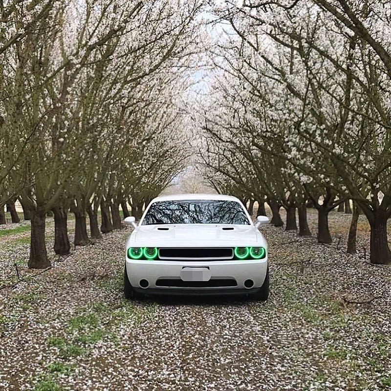 Oracle Dodge Challenger 08-14 Halo Kit (ProjectorHL) - ColorSHIFT w/o Controller