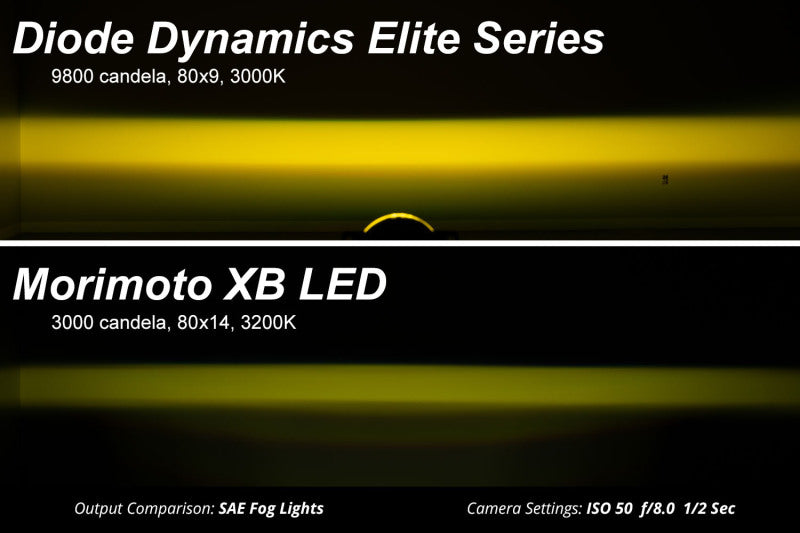 Diode Dynamics 19-22 Toyota RAV4 Elite Series Add-On Fog Lamp Kit - White