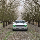 Oracle Dodge Challenger 08-14 Halo Kit (ProjectorHL) - ColorSHIFT w/o Controller