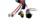 Diode Dynamics HID Bulb D2H 5000K (Pair)