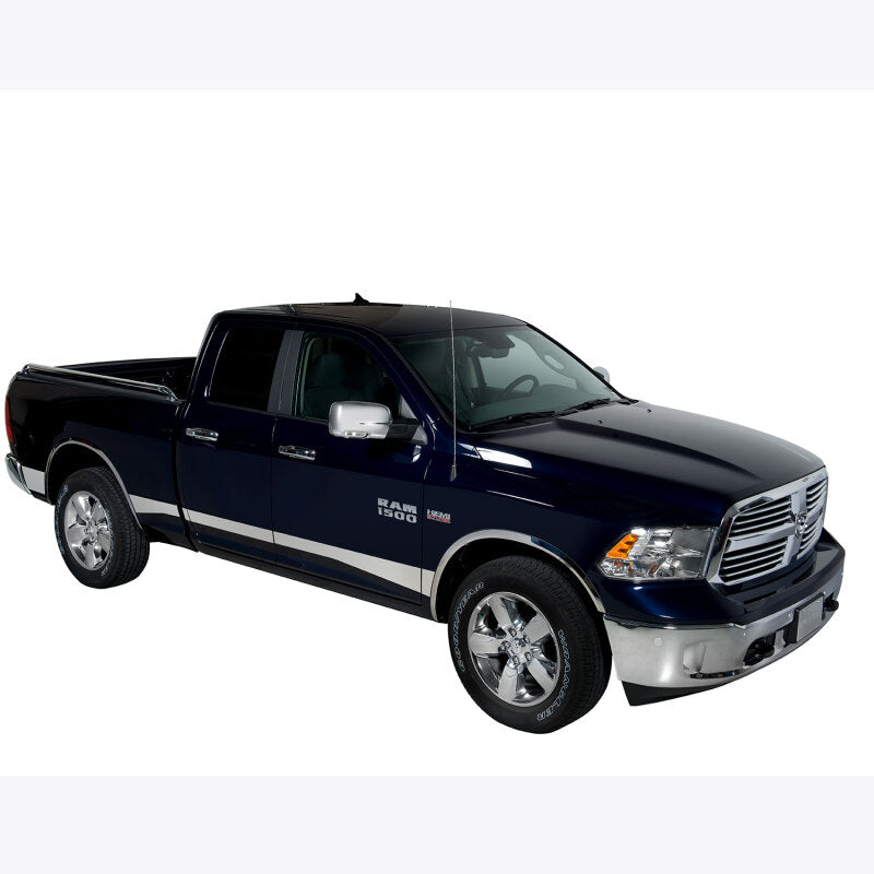 Putco 19-20 Ram LD - Quad Cab 6ft 4in Standard Box Pro Stainless Steel Rocker Panels