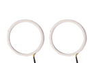 Diode Dynamics Halo Lights LED 185mm Switchback (Pair)