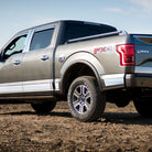 Putco 15-20 Ford F-150 Super Cab 6.5ft Short Box (4.25in Tall - 12pcs) SS Rocker Panels