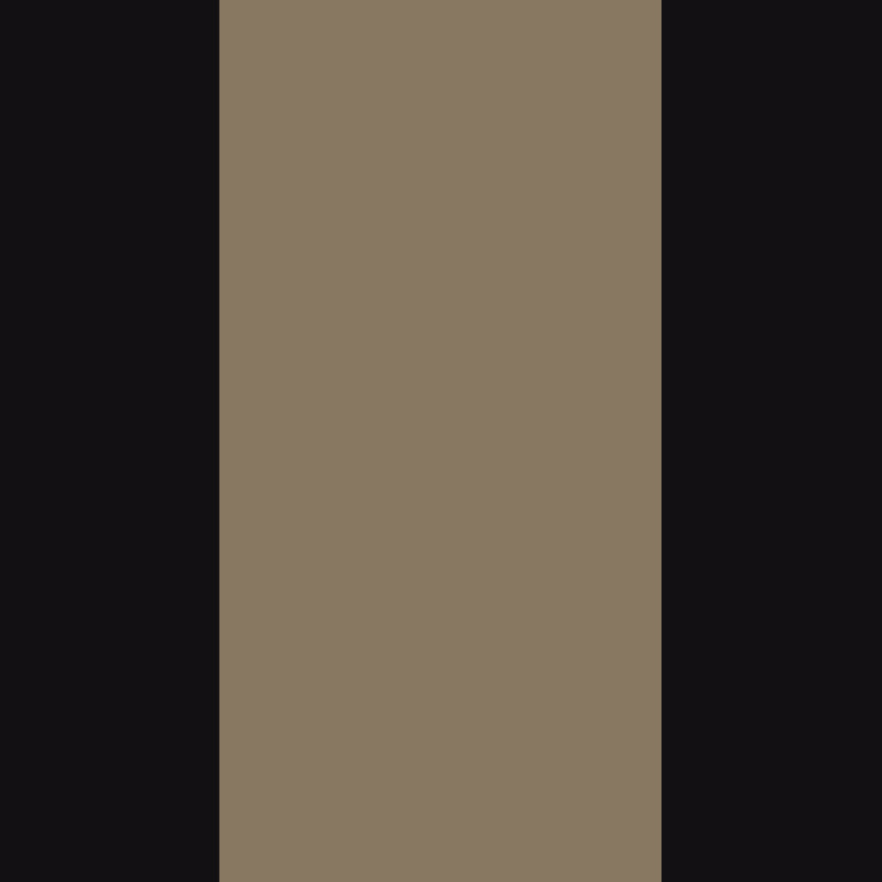 Covercraft 19-24 Toyota Rav4 Endura PrecisionFit Custom Second Row Seat Covers - Tan/Black