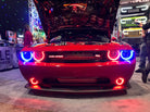 Oracle Dodge Challenger 08-14 LED Waterproof Fog Halo Kit - Green