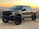 Belltech 2021+ Ford F150 4WD Trail Performance Lift Kit w/ Shocks