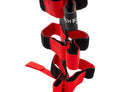Fishbone Offroad Padded Roll Bar Red Fire Extinguisher Holder