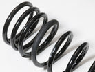 ICON 08-Up LC 200 1.75in Dual Rate Rear Spring Kit