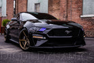 Diode Dynamics 18-23 EU/AU Ford Mustang RGBWA DRL LED Boards