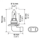 Hella Bulb 9005/HB3 12V 65W P20d T4 LONGLIFE