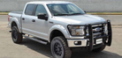 Go Rhino 15-17 Ford F-150 (Excl. ACC Models) 3000 Series StepGuard Center Grille + Brsh Grd - Chrome