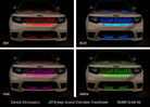 Diode Dynamics RGBW Grille Strip Kit 2pc Multicolor