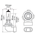 Hella H10 12V 42W Xen White Bulb (Pair)