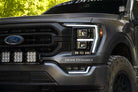 Diode Dynamics 21-23 Ford F-150 Platinum Elite Full LED Headlights