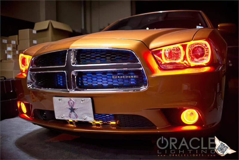 Oracle Dodge Charger 11-12 LED Fog Halo Kit - ColorSHIFT