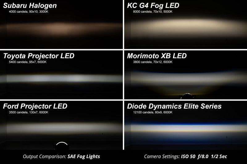 Diode Dynamics 22-25 Toyota RAV4 Elite Series Fog Lamp Kit - White