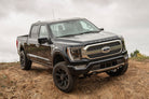 BDS Suspension 21-25 Ford F-150 4WD, 4 Inch Suspension Lift Kit, 2 Inch Rear Lift, Block - Fox 2.5 Performance Elite Series C/O, Fox 2.0 IFP Performance Series Rear Shock BDS Suspension (BDS1902FPE)
