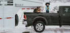 B&W Trailer Hitches RVK3550 Companion 20K 5th Wheel Hitch Kit for Universal Mounting Rails