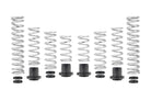 Eibach 18-19 Polaris RZR Pro-UTV - Stage 3 Performance Spring System (Set Of 8 Springs)