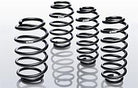 Eibach Pro-Kit for 16-17 Honda Civic 1.5L