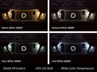 Diode Dynamics 194 LED Bulb HP5 LED - Amber Set of 12