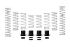 Eibach Pro-UTV 2020 Polaris RZR Pro XP Ultimate Stage 2 Performance Springs - Set of 8