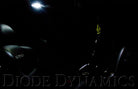 Diode Dynamics 39mm HP6 LED Bulb LED Warm - White (Single)