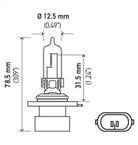 Hella Bulb 9005Xs/Hb3A 12V 65W P20D T4
