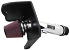 K&N 10-11 Toyota Tundra/Sequoia 4.6L V8 High Flow Performance Intake