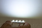 Diode Dynamics 28mm SMF2 LED Bulb - Red (Single)