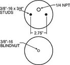 Firestone Ride-Rite Replacement Bellow 224C (For Kit PN 2040/1130/2601/2598/2580/2170) (W217606873)