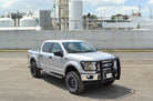 Go Rhino 17-19 Ford F-250/F-350 Super Duty 3000 Series StepGuard - Black