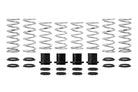 Eibach 15-16 Polaris RZR Pro-UTV - Stage 2 Performance Spring System (Set Of 8 Springs)