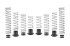 Eibach Pro-UTV 21-23 Honda Talon 1000R Stage 2 Performance Springs