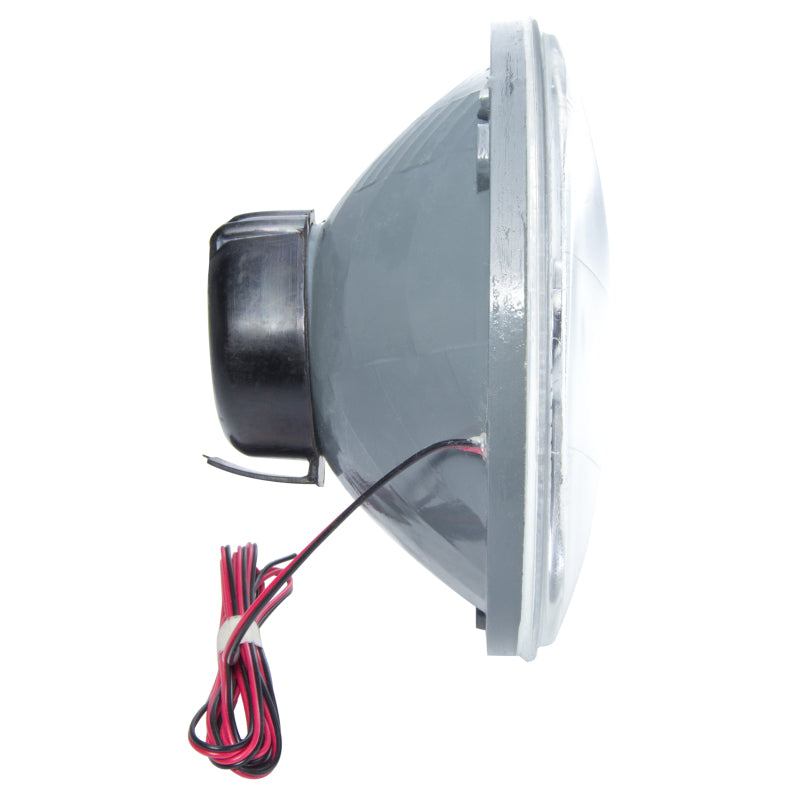 Oracle Pre-Installed Lights 5.75 IN. Sealed Beam - UV/Purple Halo